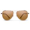 Suncloud Aviator Polarized Sunglasses view 2