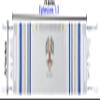 Holy Land Market Grafted IN - Messianic Christian Prayer Shawl/Tallit Prayer Shawl - Creation and Restoration Talit view 2