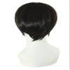 MapofBeauty 12 Inch / 30 cm Men Short Straight Wig Cosplay Costume Wig (Black) view 3