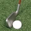 Izzo Golf Flatball Swing Golf Training Aid, White view 2