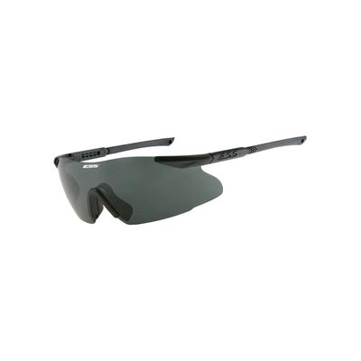 ICE Eyeshield - Black Frame - Smoke Gray Lens