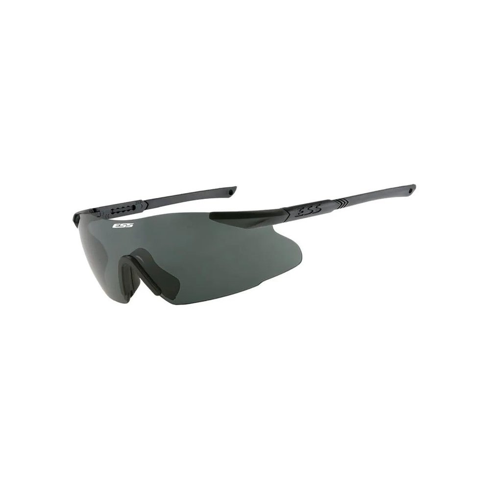ICE Eyeshield - Black Frame - Smoke Gray Lens