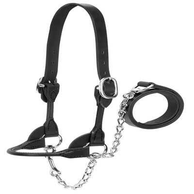Weaver Leather Livestock Dairy/Beef Rounded Show Halter, Black, X-Small
