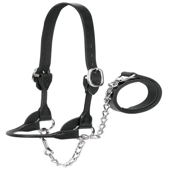 Weaver Leather Livestock Dairy/Beef Rounded Show Halter, Black, X-Small