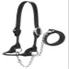 Weaver Leather Livestock Dairy/Beef Rounded Show Halter, Black, X-Small view 1