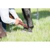 Weaver Equine Leather Hobble view 2