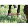 Weaver Equine Leather Hobble view 4