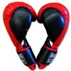 Gym Training Gloves for Muay Thai, MMA, Kickboxing, Boxing - Large/16oz view 4