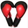 Training Gloves for Muay Thai, MMA, Kickboxing, Boxing-14oz view 3