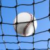 Fortress Premium Fully Edged Baseball Netting Panels | Heavy Duty #42 Grade & UV Stabilized - Overlocked Edging for Guaranteed Durability [Available in 21 Sizes] (12ft x 40ft) view 1