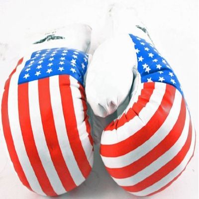 Shelter 1 Pair USA Flag 10 oz Boxing Punching Gloves