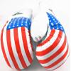 Shelter 1 Pair USA Flag 10 oz Boxing Punching Gloves view 1