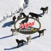 PredatorPee 100% Wolf Urine - Territorial Marking Scent - Creates Illusion That Wolf is Nearby - 12 oz view 4