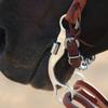 Classic Rope Company BitLogic Performance Twisted Wire Long Gag view 2