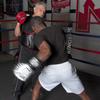 Ringside Mini Boxing Punch Mitt Small view 3