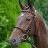 Padded Cavesson Bridle with Reins Brown - Pony Size view 4