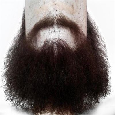 RemeeHi Human Hair Facial Hair Beard Costume Accessory Makeup Moustache Self Adhesive #73