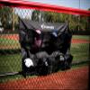 Easton | TEAM HANGING HELMET BAG | Holds 12 Baseball / Softball Helmets | Includes 3 Fence Hooks + Travel Straps view 4