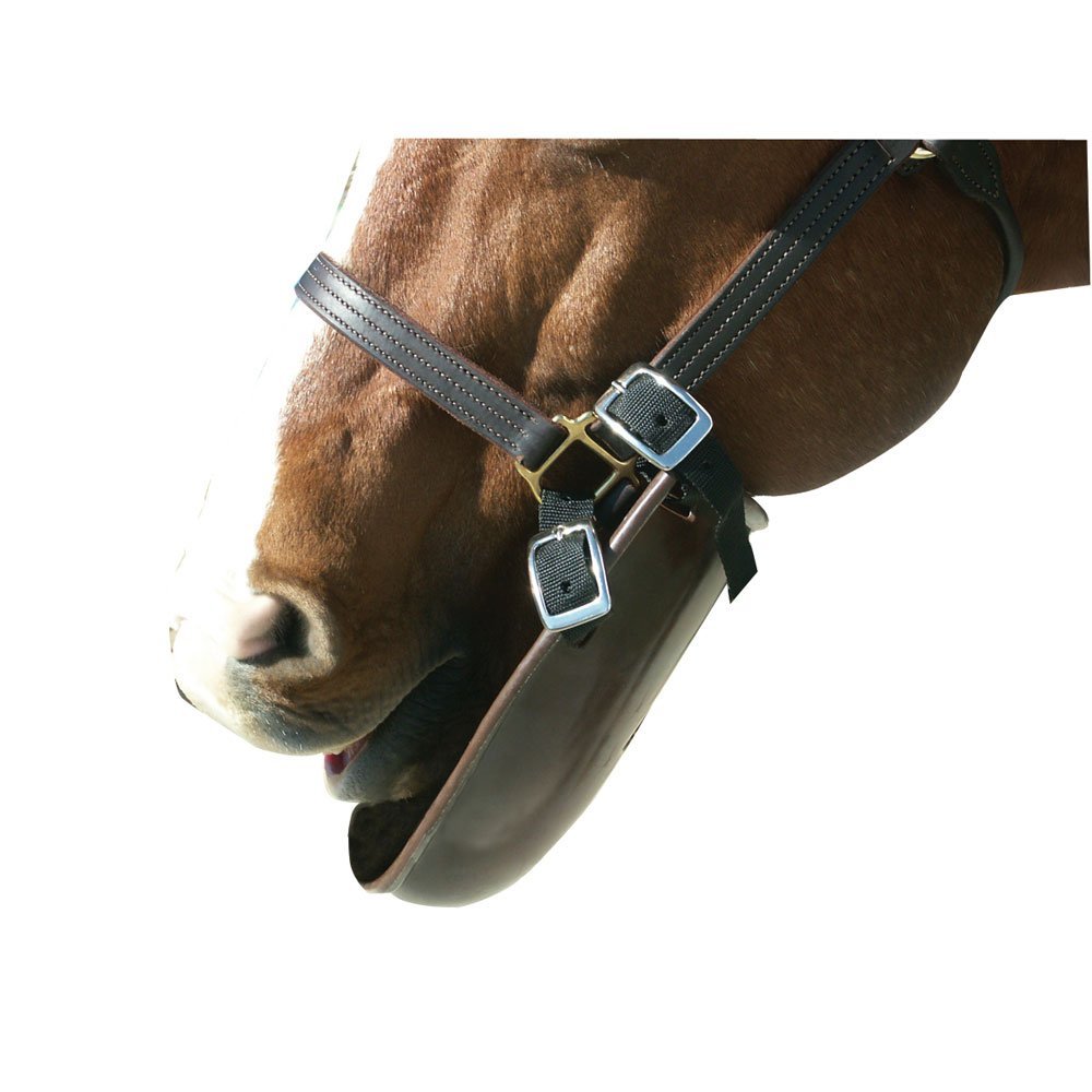 Intrepid International Plastic Bib for Horses - Protect Your Horse's Coats and Bandages with This Durable and Adjustable Equine Accessory