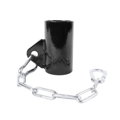 CAP Barbell Eyelet with Chain Attachment, Fits 2 Inch Bars