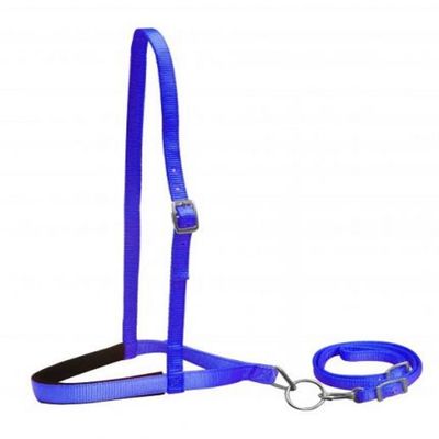 Showman Pony Sized Blue Premium Nylon Padded Adjustable Noseband Tie Down