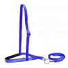 Showman Pony Sized Blue Premium Nylon Padded Adjustable Noseband Tie Down view 1
