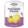 Augason Farms Freeze Dried Pineapple Pieces Can, Emergency Food Supply, Everyday Meals, 34 Servings view 1
