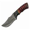 8" Buffalo Twisted Wood Hunter view 2