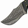 8" Buffalo Twisted Wood Hunter view 4