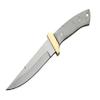 10" Swedged Bowie Edc Hunting Knife Stainless Steel Blade And Handle With Brass Guard view 1