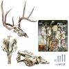 Skull Master by Illusion | Snow Camo | European Mount | Antler Mounting Kit | Euro Mount | 3D Modeled Replica Deer Skull | Taxidermy | Compatible with Harvested and Shed Antlers | Universal Sizing view 1