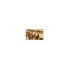 MADE IN USA - Lion-sphinx 3D earrings, From Our Museum Egyptian Collection view 3