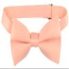 Vesuvio Napoli BOY'S BOWTIE Solid PEACH Color Youth Bow Tie view 1