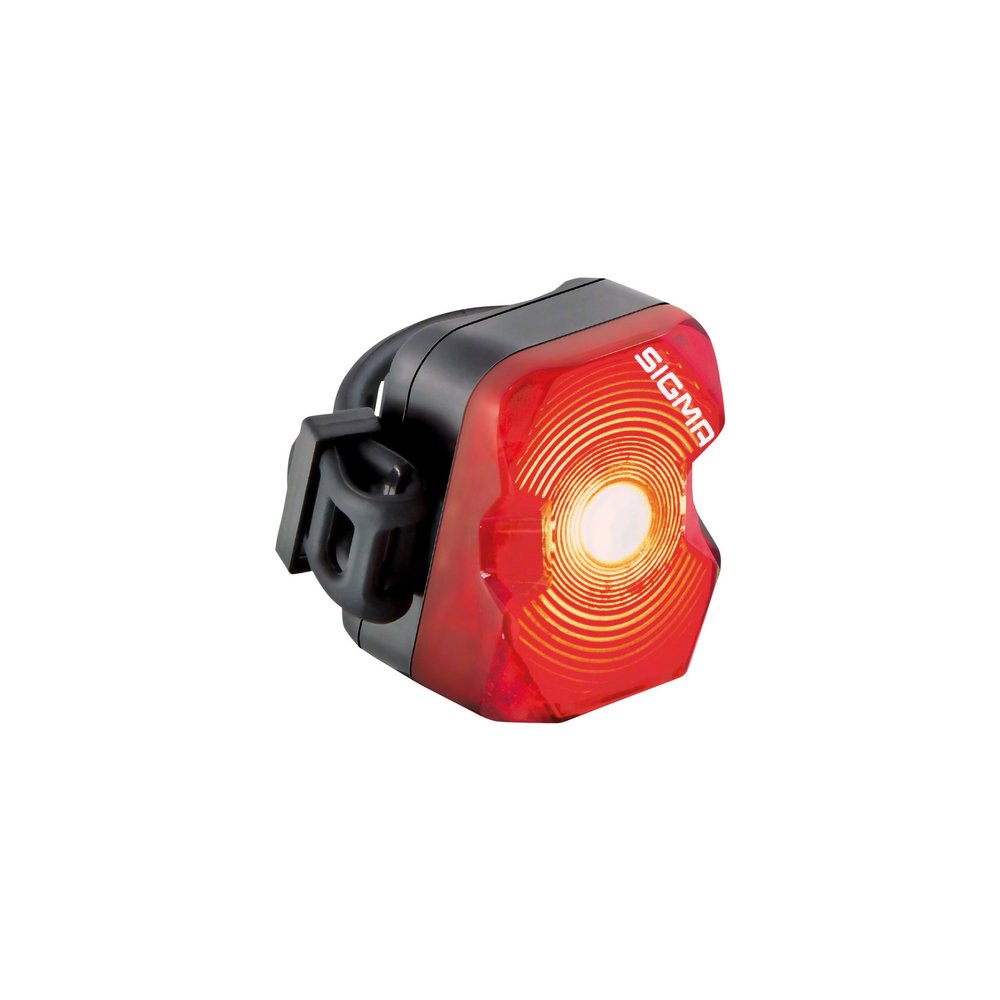 Sigma Nugget Flash