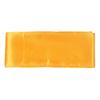 Tiger Claw Kung Fu (Kungfu) Gold Sash view 1
