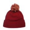 NCAA Zephyr Florida State Seminoles Mens Pom Knit Beanie, Adjustable, Team Color view 2