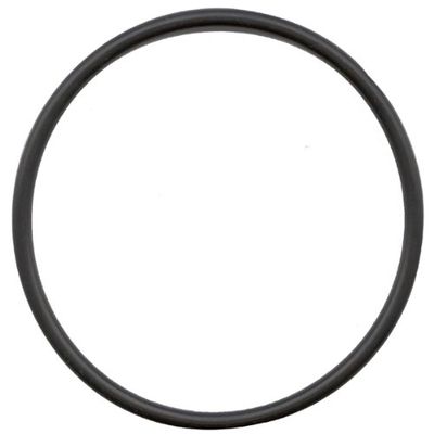 Streamlight 201604 Lens/Head O Ring, SL20X