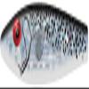 MirrOLure STTR-21 S3 F Sink Twitchbait Black Bk/White/Silver 3 5/8in 1/2oz view 1