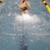 NZ Manufacturing StretchCordz Long Belt Slider Swim Resistance Belt Silver 3-8 Lbs view 4