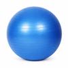 Amber Fight Gear Premium Fitness Ball with Strap  Stability, Core Strength & Balance Trainer for Home Gym & Physical Therapy, Anti-Burst & Non-Slip Exercise Ball, 55cm view 1