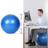 Amber Fight Gear Premium Fitness Ball with Strap  Stability, Core Strength & Balance Trainer for Home Gym & Physical Therapy, Anti-Burst & Non-Slip Exercise Ball, 55cm view 2