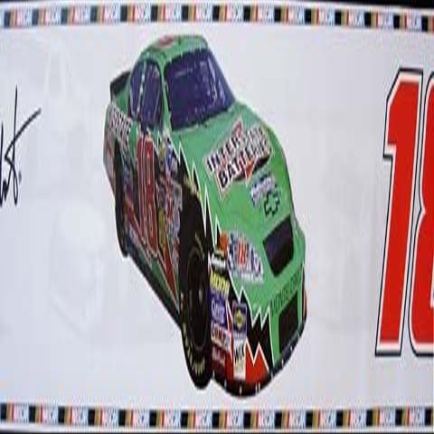 Nascar #18 Bobby Labonte Youth Racer Wall Paper Border