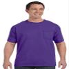 Hanes Men's TAGLESS ComfortSoft Crewneck T-Shirt ASH, L view 2