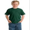 Hanes Heavyweight 50/50-50/50 Cotton Poly 5.5-Ounce T-Shirt. 5370, Forest Green S view 1