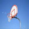 Rear Mount Backboard w Target and Border view 2