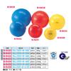 Danno D5432 Gimnik Color Ball, 25.6 inches (65 cm) view 2