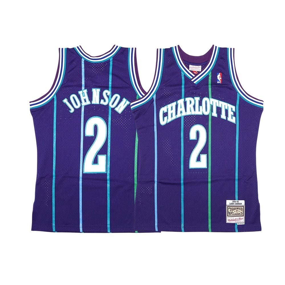 Larry Johnson Charlotte Hornets Alternate 1994-95 Men's Swingman Jersey (as1, Alpha, s, Regular, Regular, Small) Purple