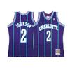 Larry Johnson Charlotte Hornets Alternate 1994-95 Men's Swingman Jersey (as1, Alpha, s, Regular, Regular, Small) Purple view 1