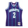Larry Johnson Charlotte Hornets Alternate 1994-95 Men's Swingman Jersey (as1, Alpha, s, Regular, Regular, Small) Purple view 2
