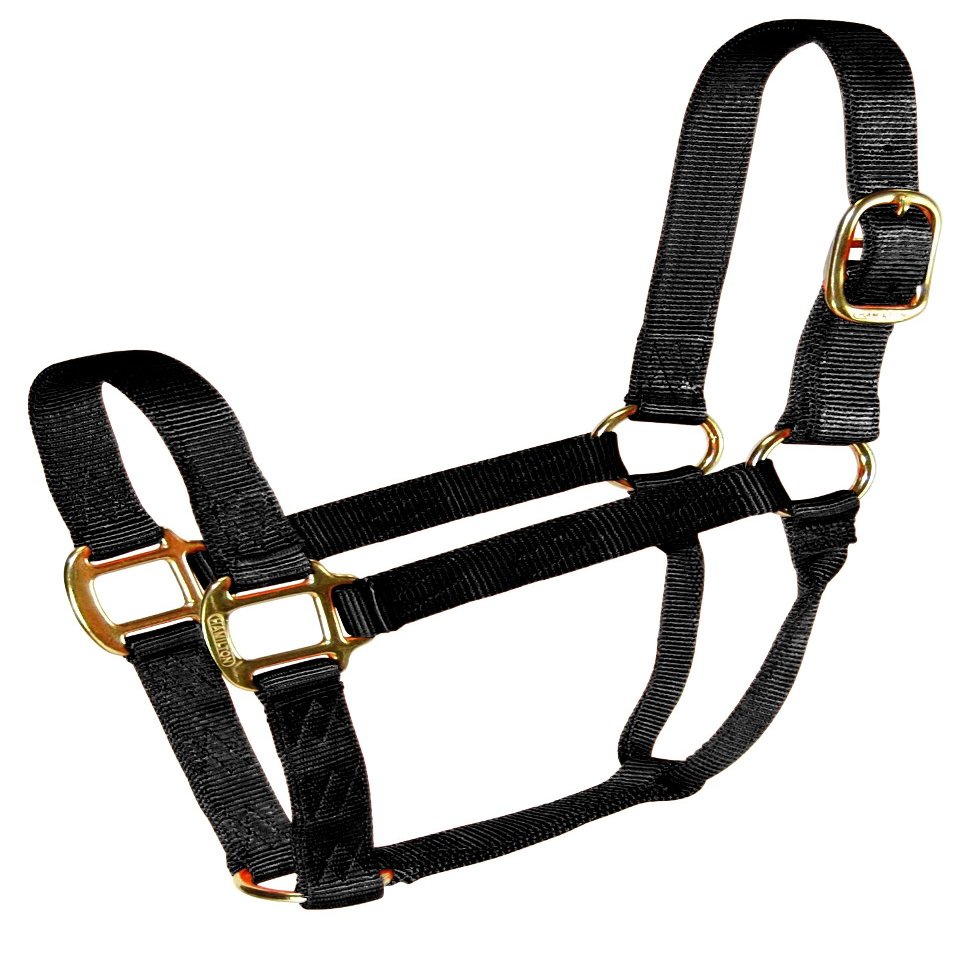 Halter Qlty Econo Black
